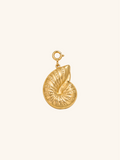 Nautilus Shell Charm (Interchangeable) – 18K Gold Plated Stainless Steel