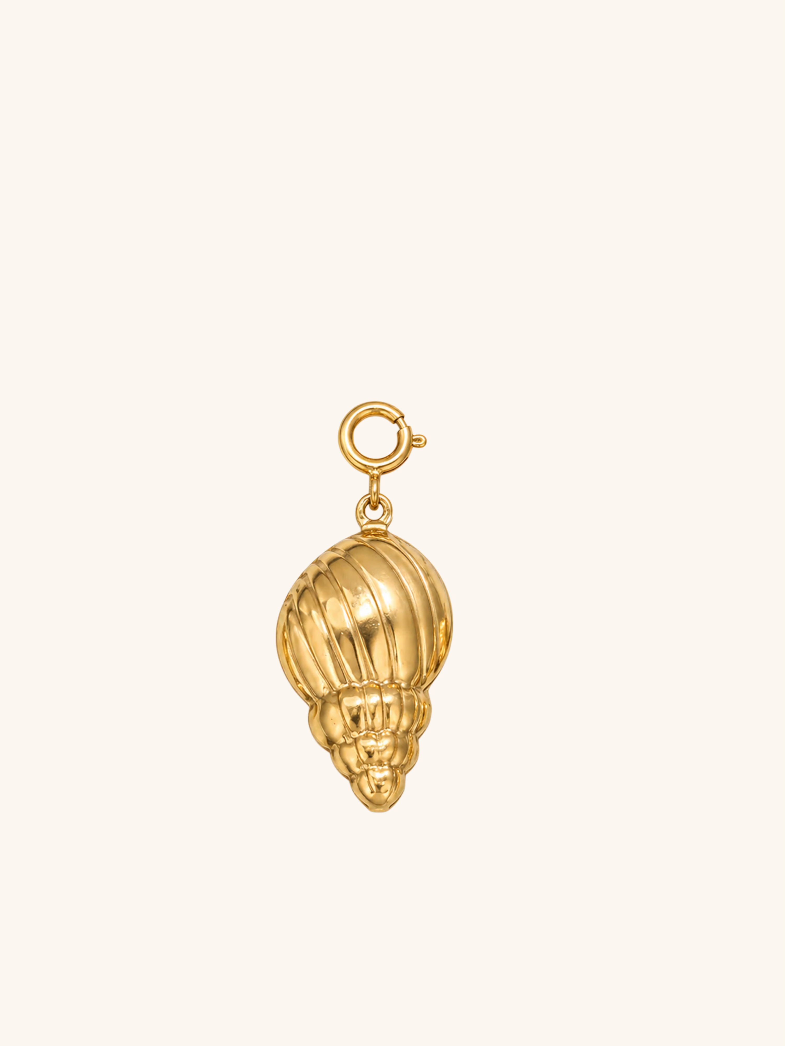 Ridged Conch Shell Charm (Interchangeable) – 18K Gold Plated Stainless Steel