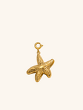 Sea Star Charm (Interchangeable) – 18K Gold Plated Stainless Steel
