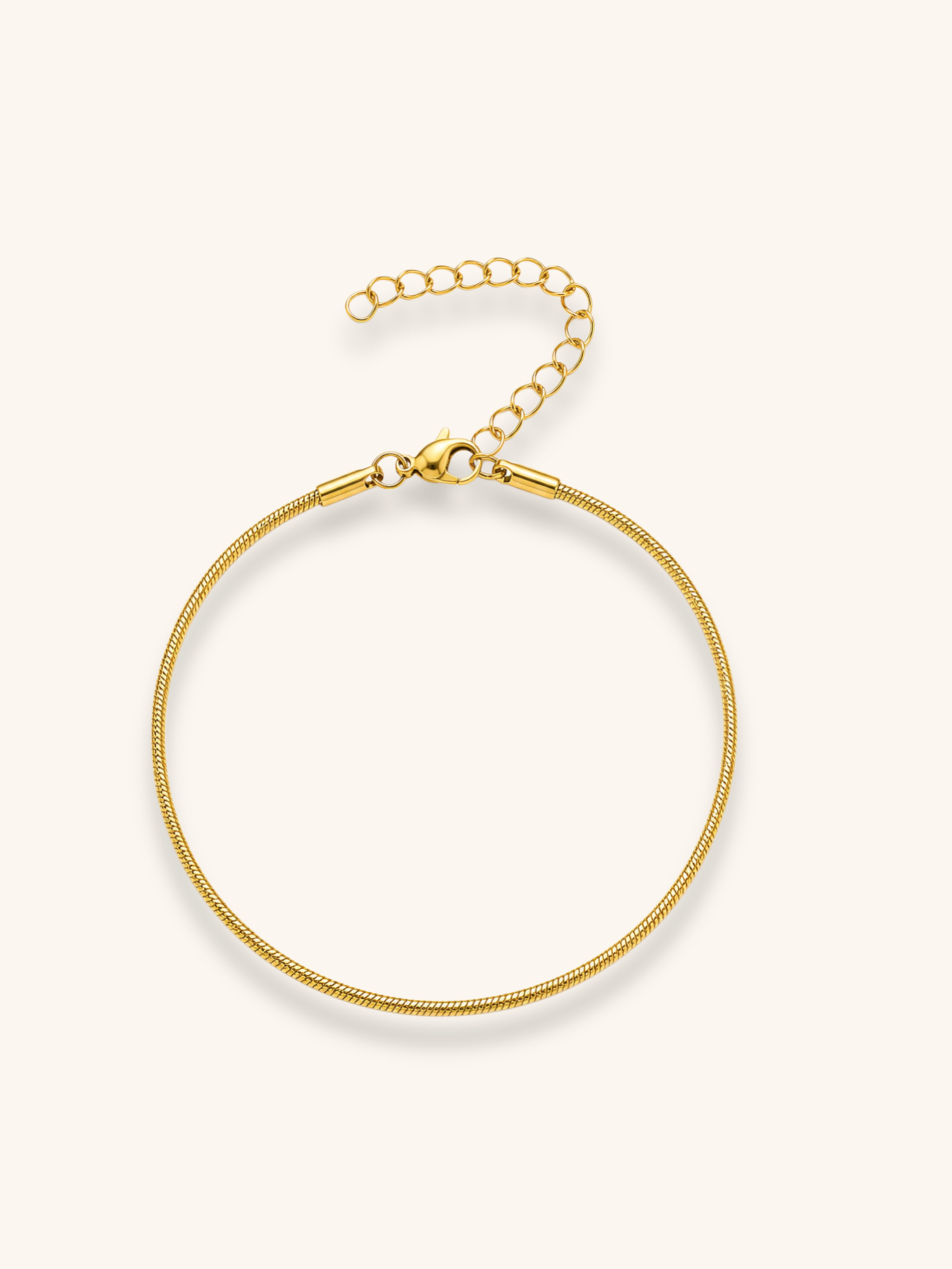 18K Gold Plated Snake Chain Bracelet
