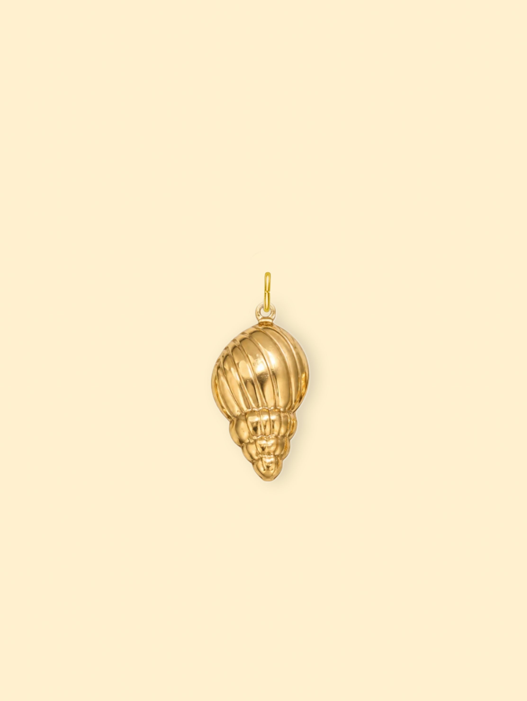 Ridged Conch Shell Charm (Interchangeable) – 18K Gold Plated Stainless Steel