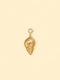 Ridged Conch Shell Charm (Interchangeable) – 18K Gold Plated Stainless Steel