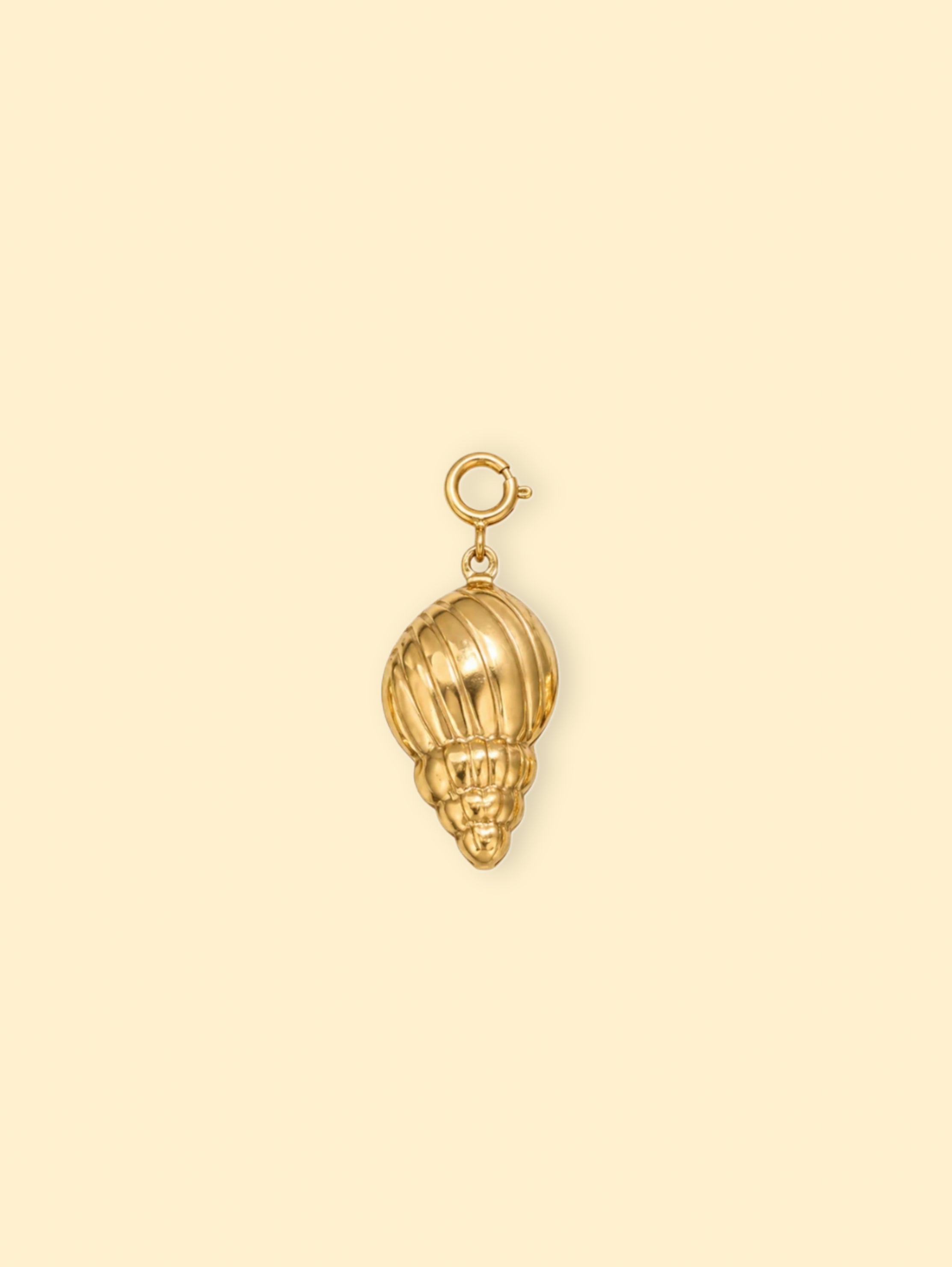 Ridged Conch Shell Charm (Interchangeable) – 18K Gold Plated Stainless Steel