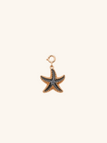 Black Starfish Charm (Interchangeable) – alloy
